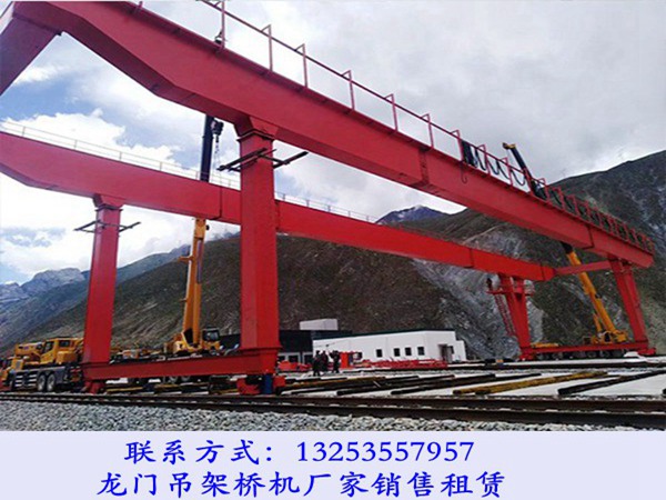 龍門(mén)吊起重機(jī) (13).jpg